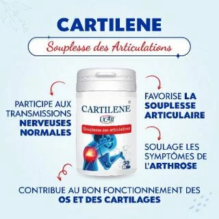 BIOHEALTH CARTILENE 30 GELULES - 2